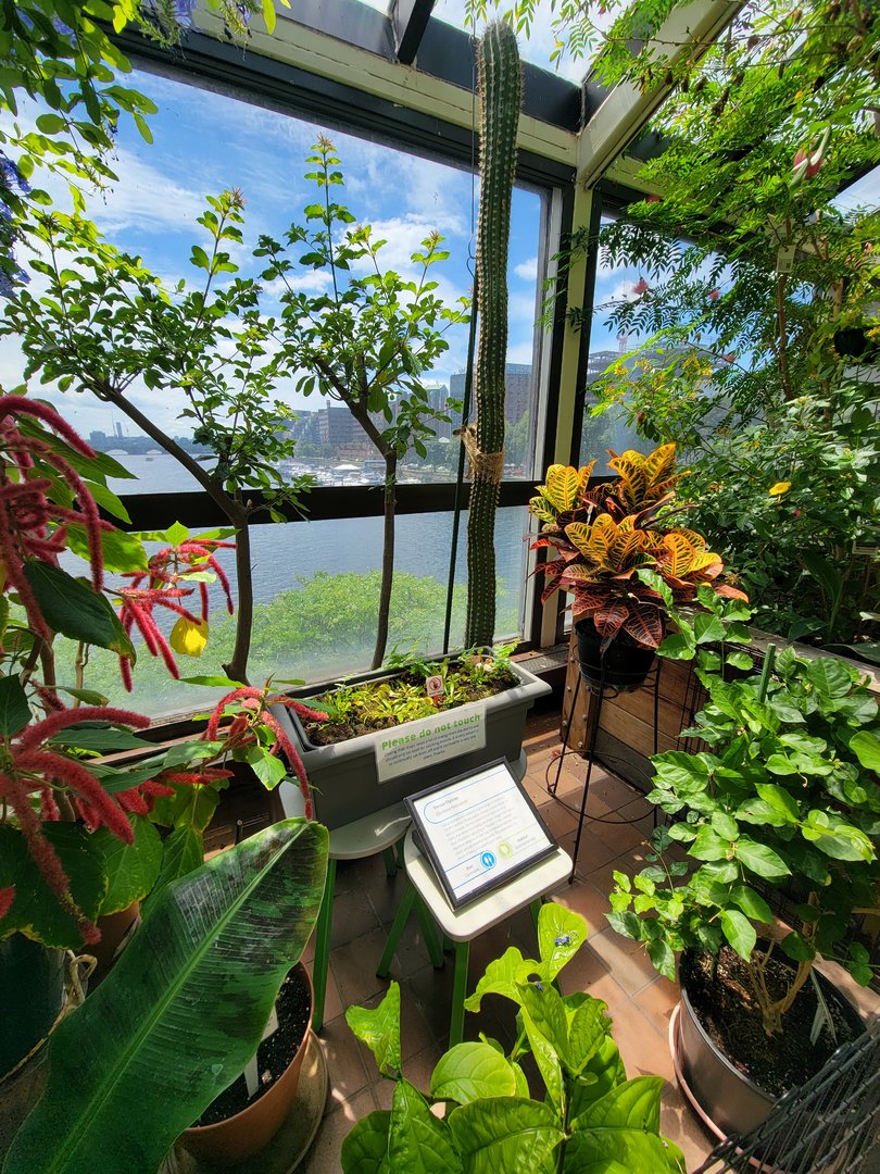 MOS Boston - Insect Zoo, garden walk