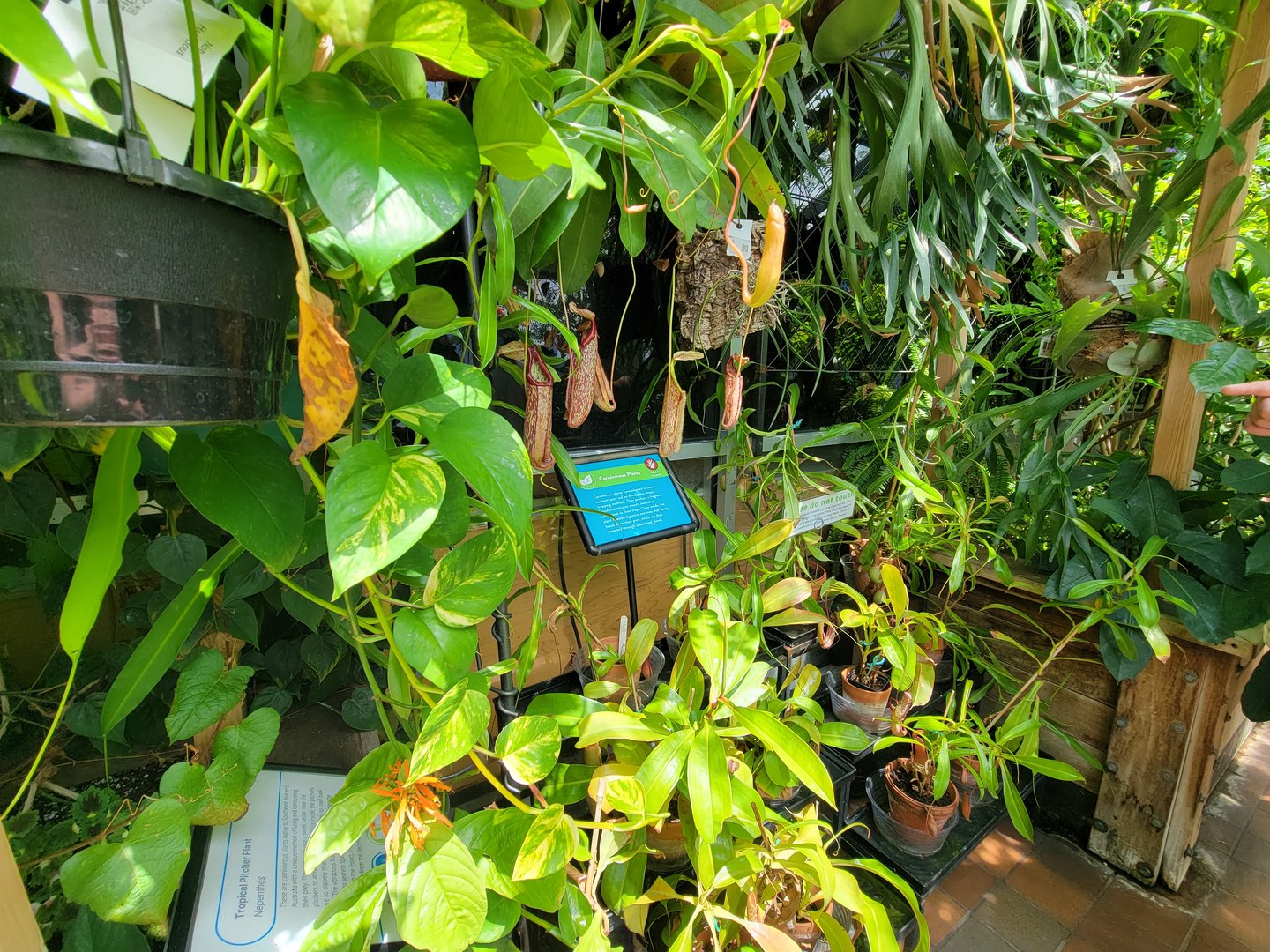 MOS Boston - Insect Zoo, garden walk