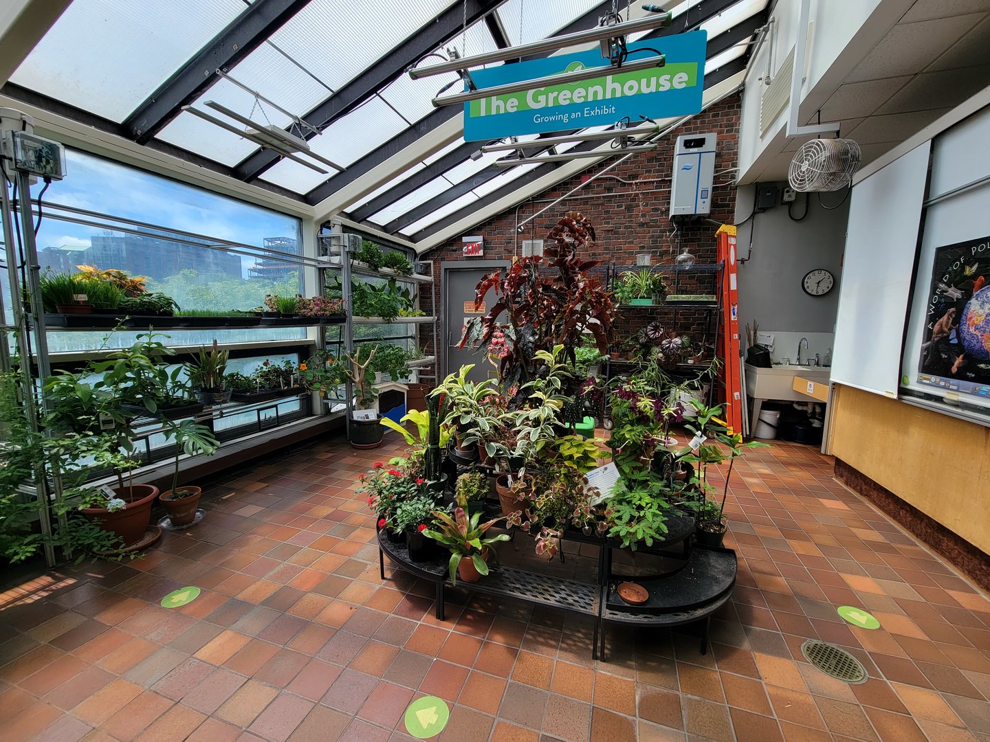 MOS Boston - Insect Zoo, garden walk