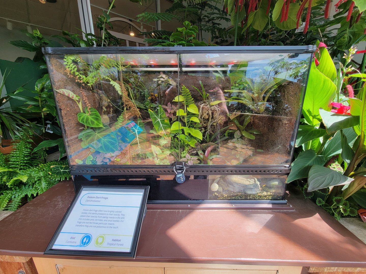 MOS Boston - Insect Zoo, PDFs