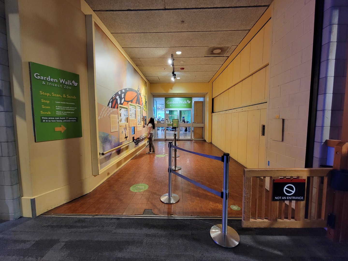 MOS Boston - Insect Zoo