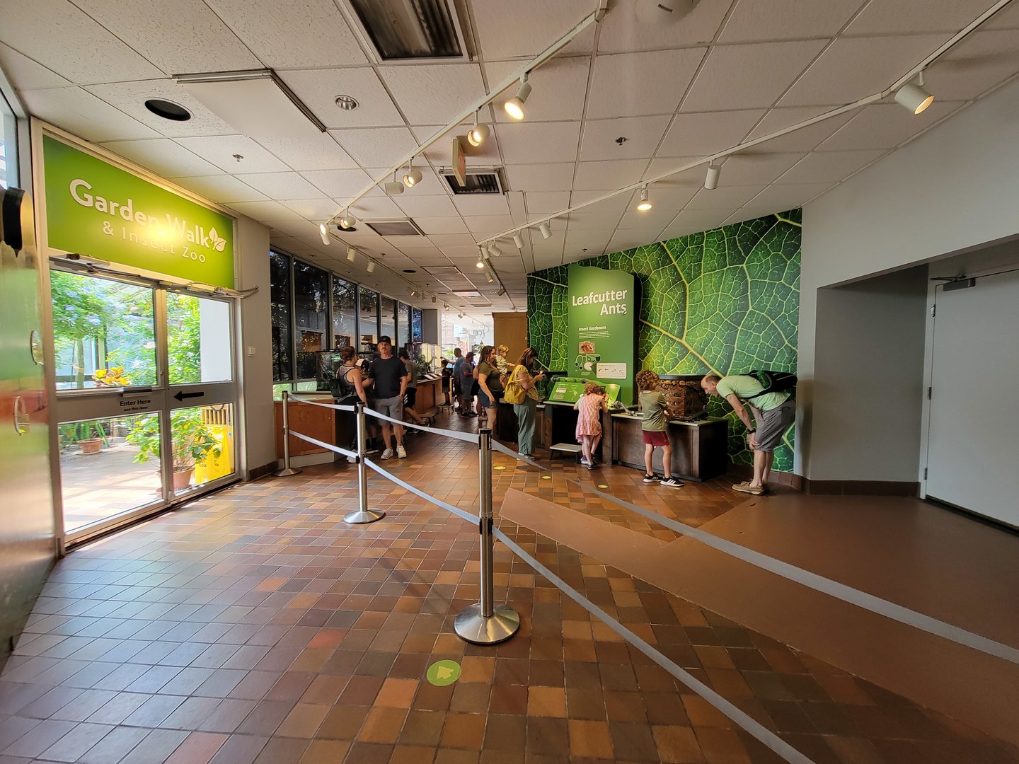 MOS Boston - Insect Zoo