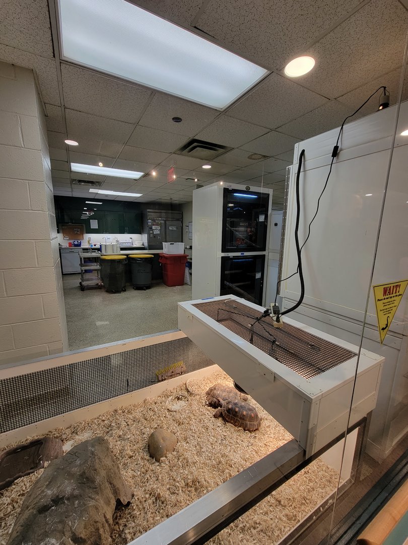 MOS Boston - Live Animal Lab, herps and work area
