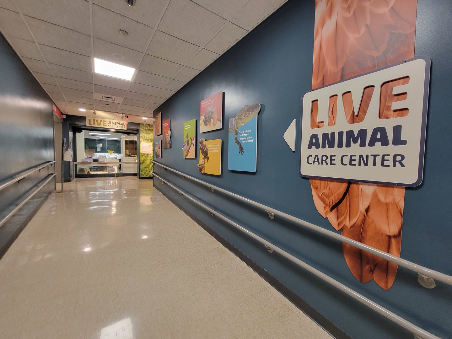 MOS Boston - Live Animal Lab, lower level (separate from rest of lower level)