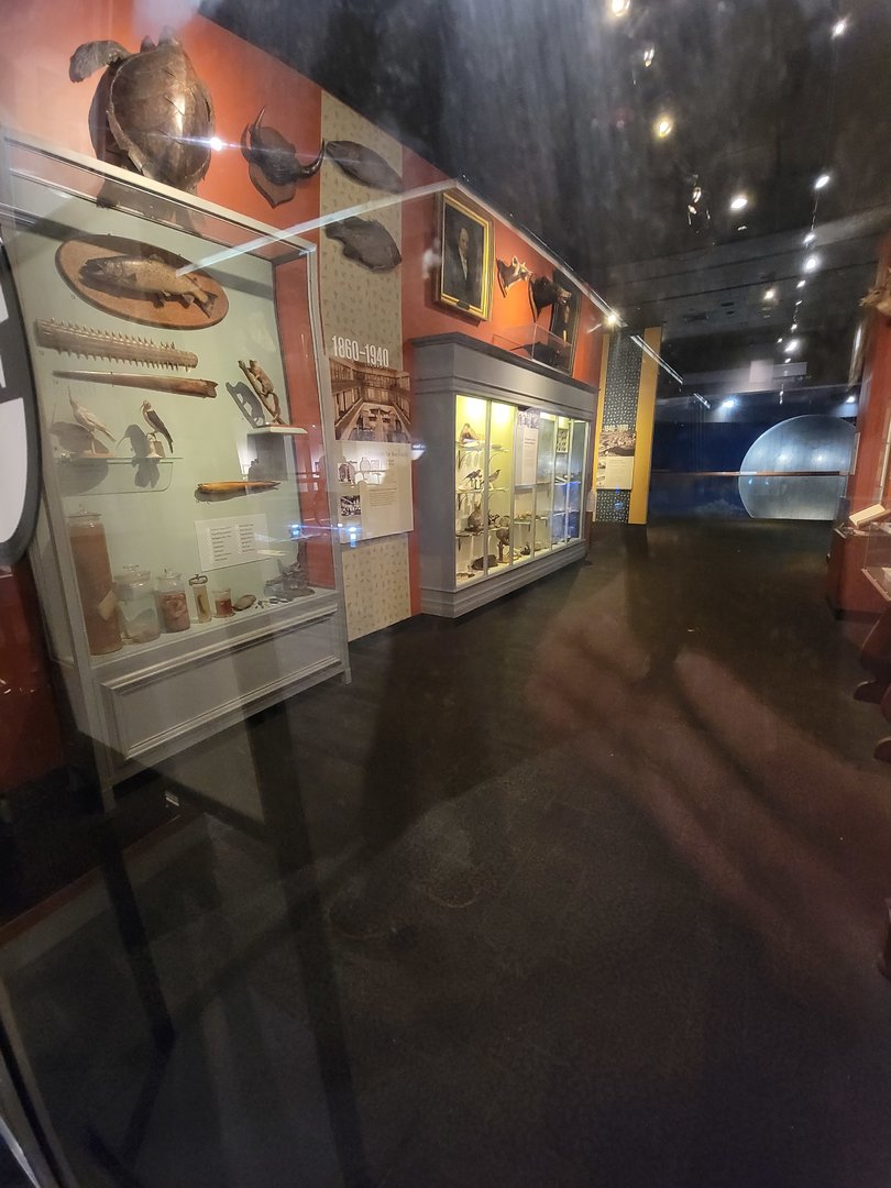 MOS Boston - Museum of Science Then & Now