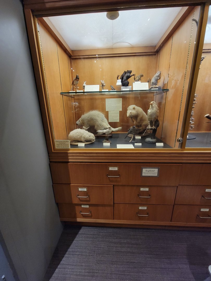 MOS Boston - Natural Mysteries, color mutations