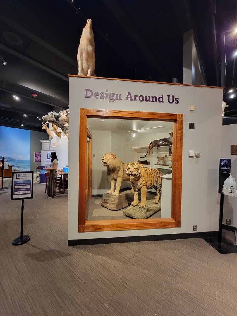 MOS Boston - Natural Mysteries, Design Around Us