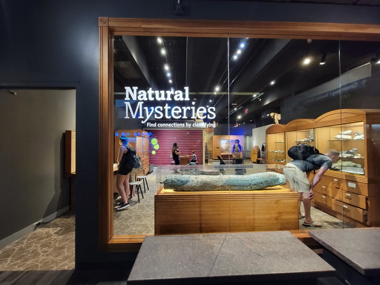 MOS Boston - Natural Mysteries, lower level