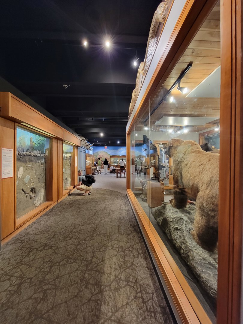 MOS Boston - Natural Mysteries