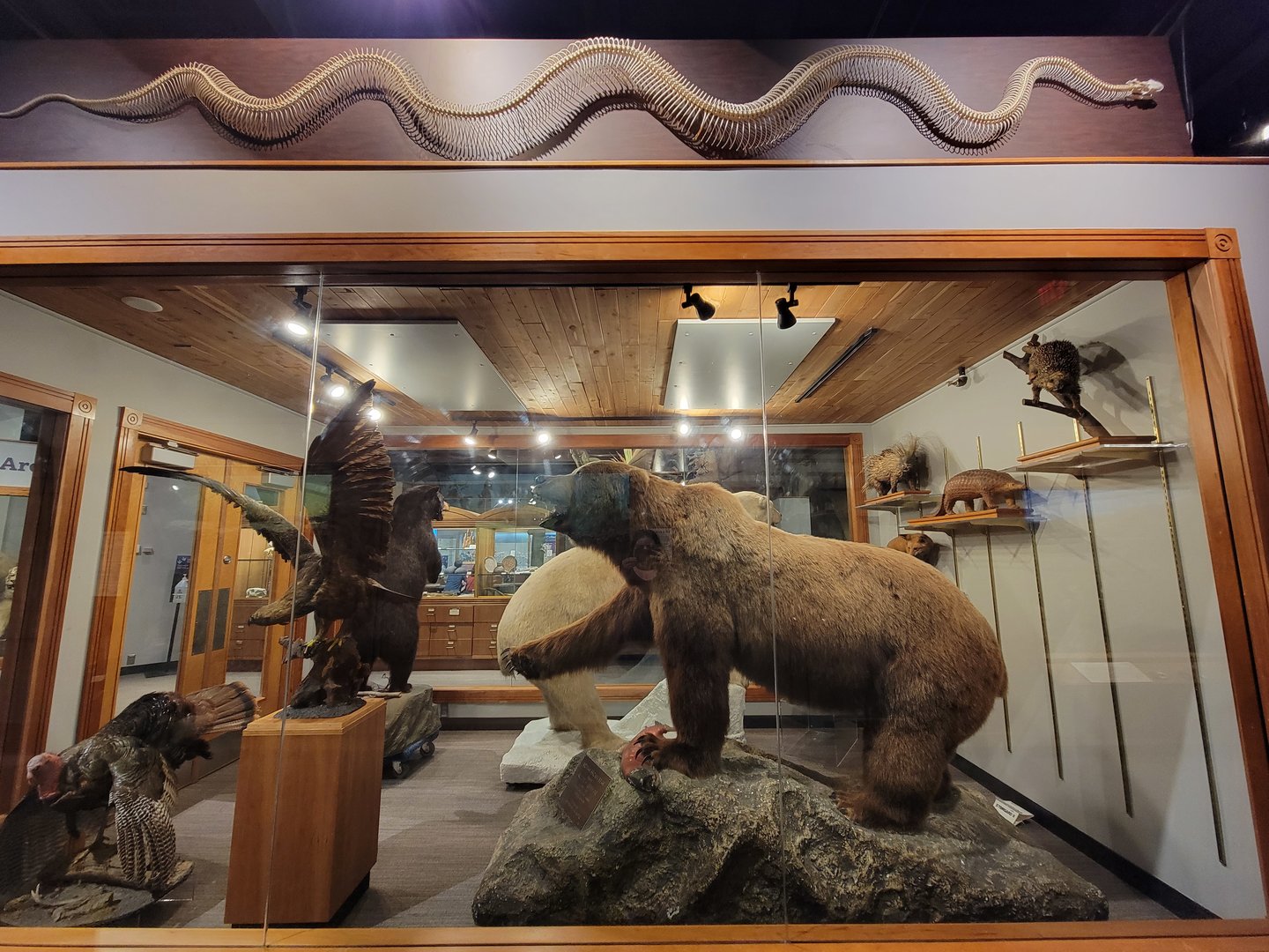 MOS Boston - Natural Mysteries