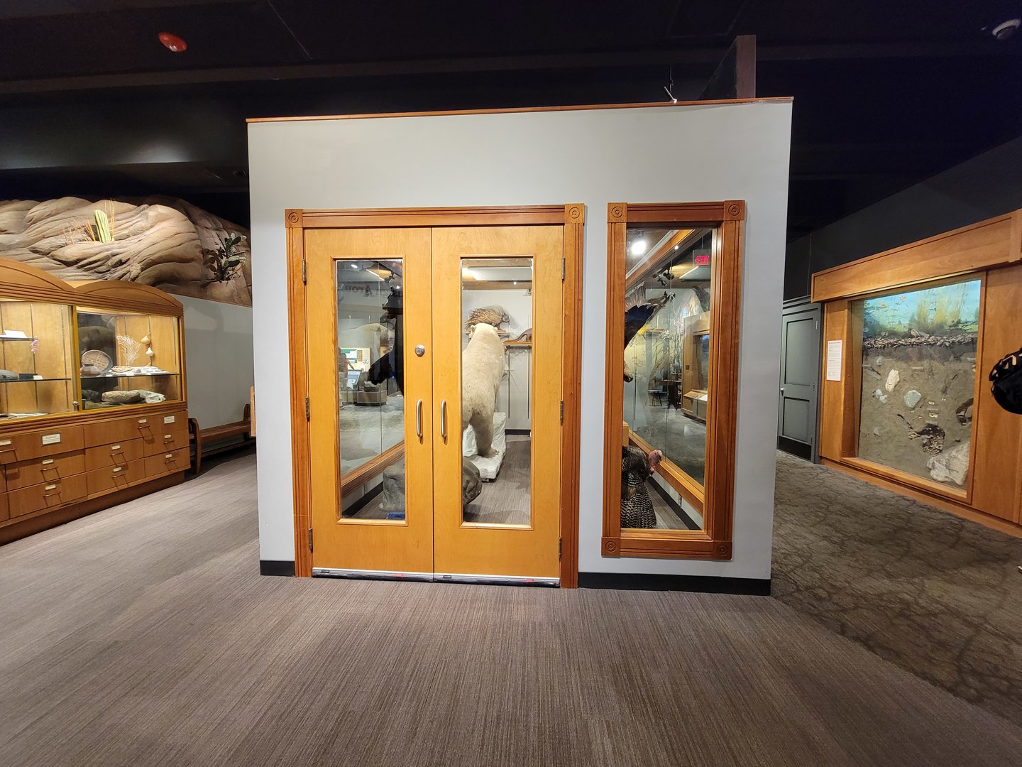 MOS Boston - Natural Mysteries