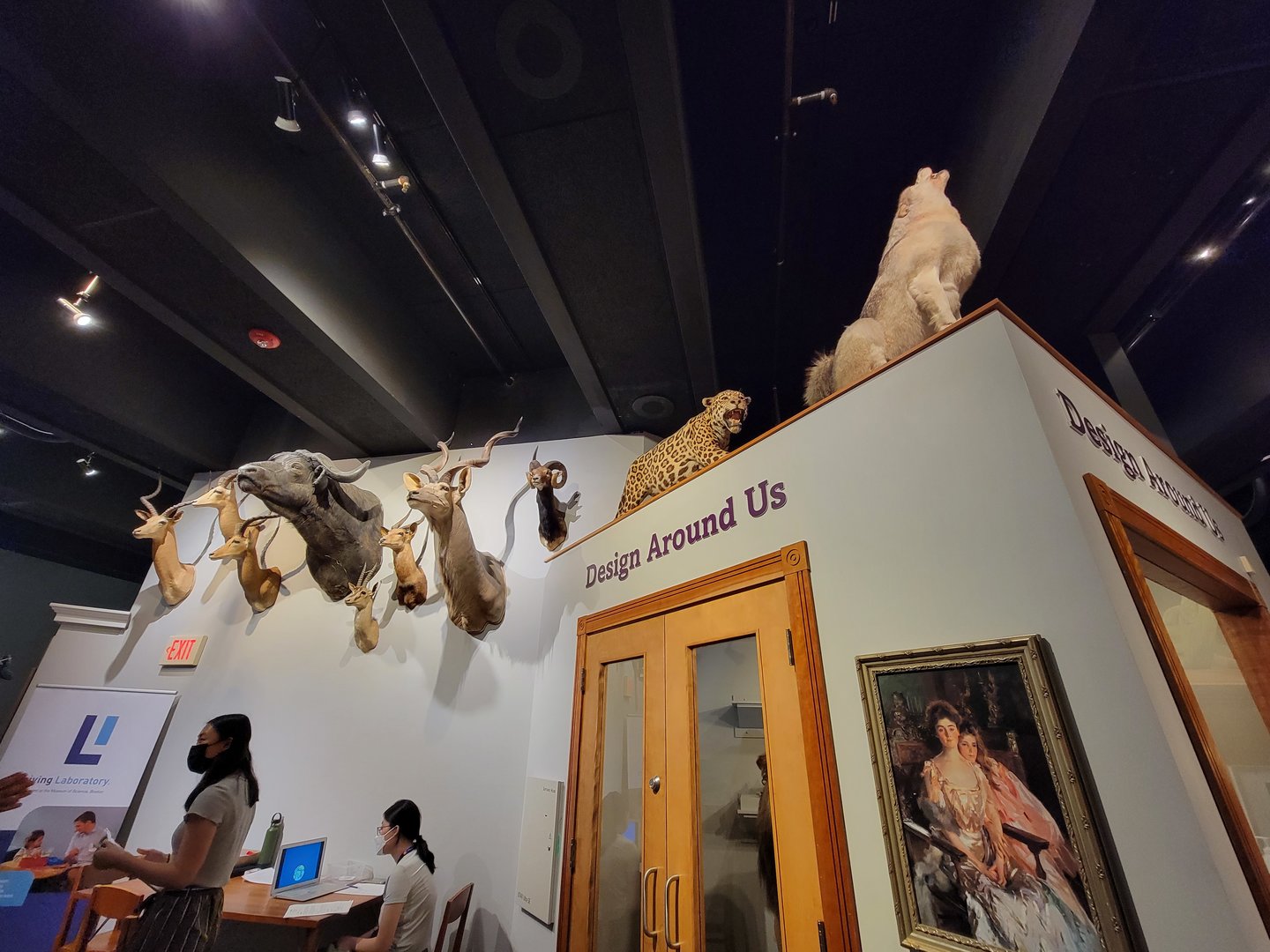 MOS Boston - Natural Mysteries