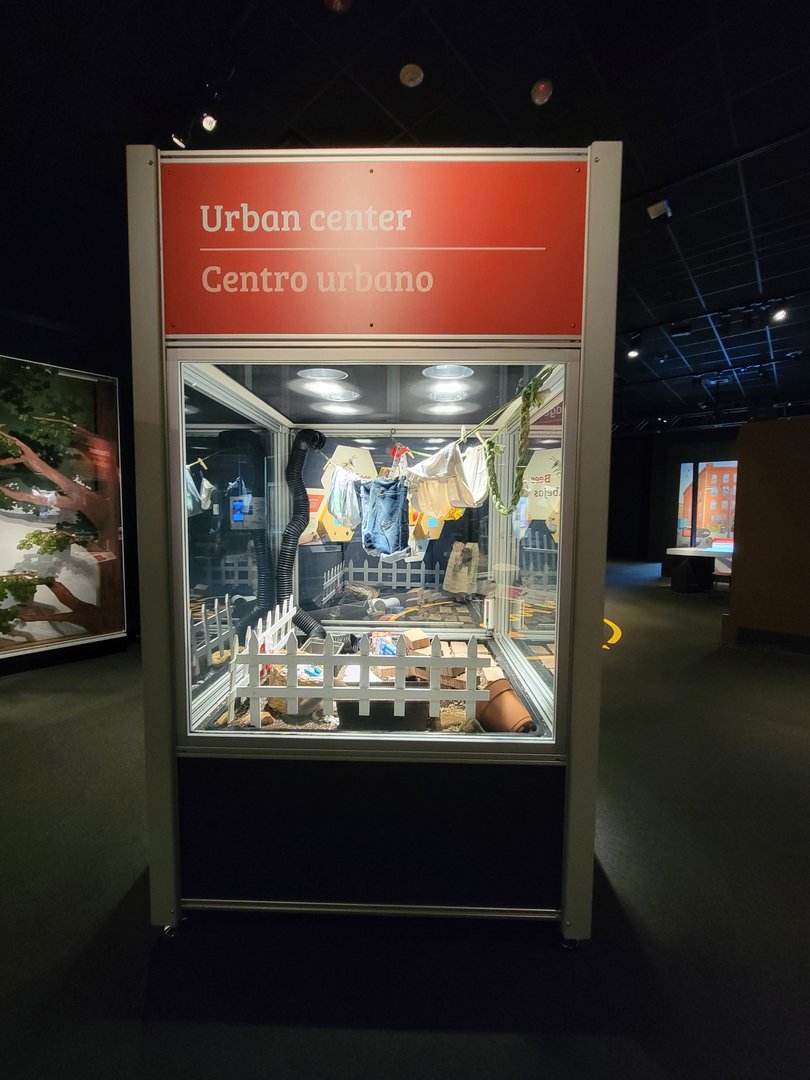 MOS Boston - NE Climate Stories, Norway rats