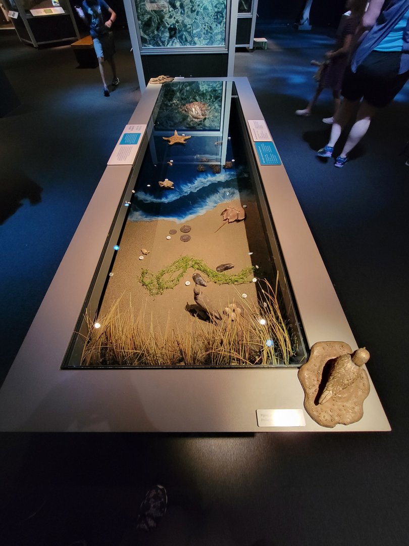 MOS Boston - NE Climate Stories