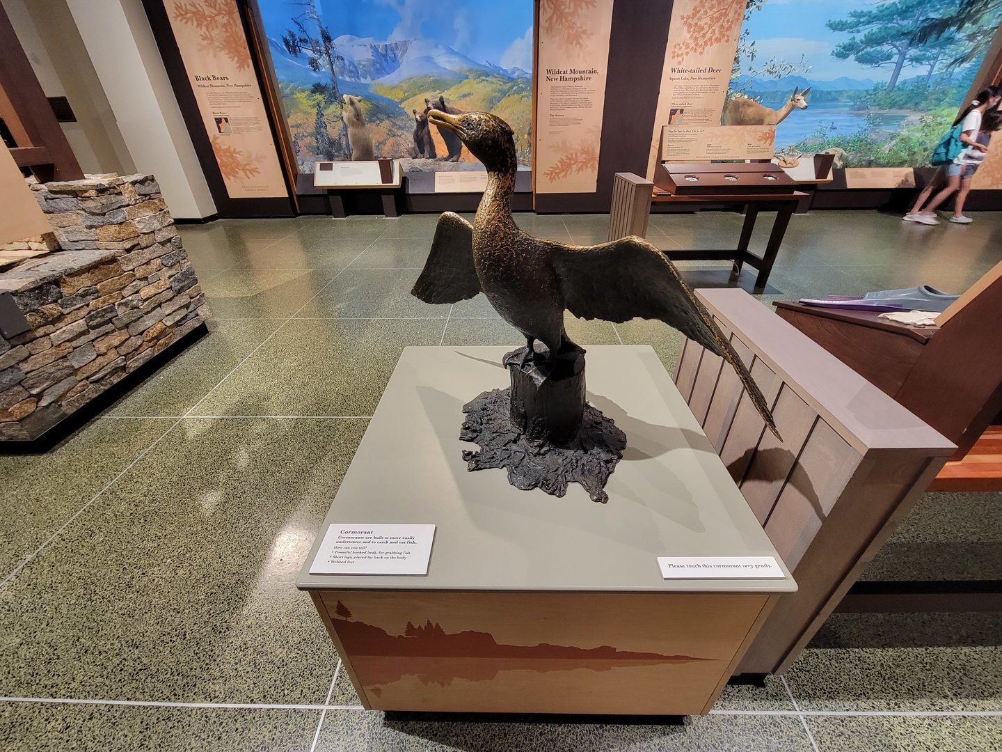 MOS Boston - New England Habitats, Cormorant sculpture
