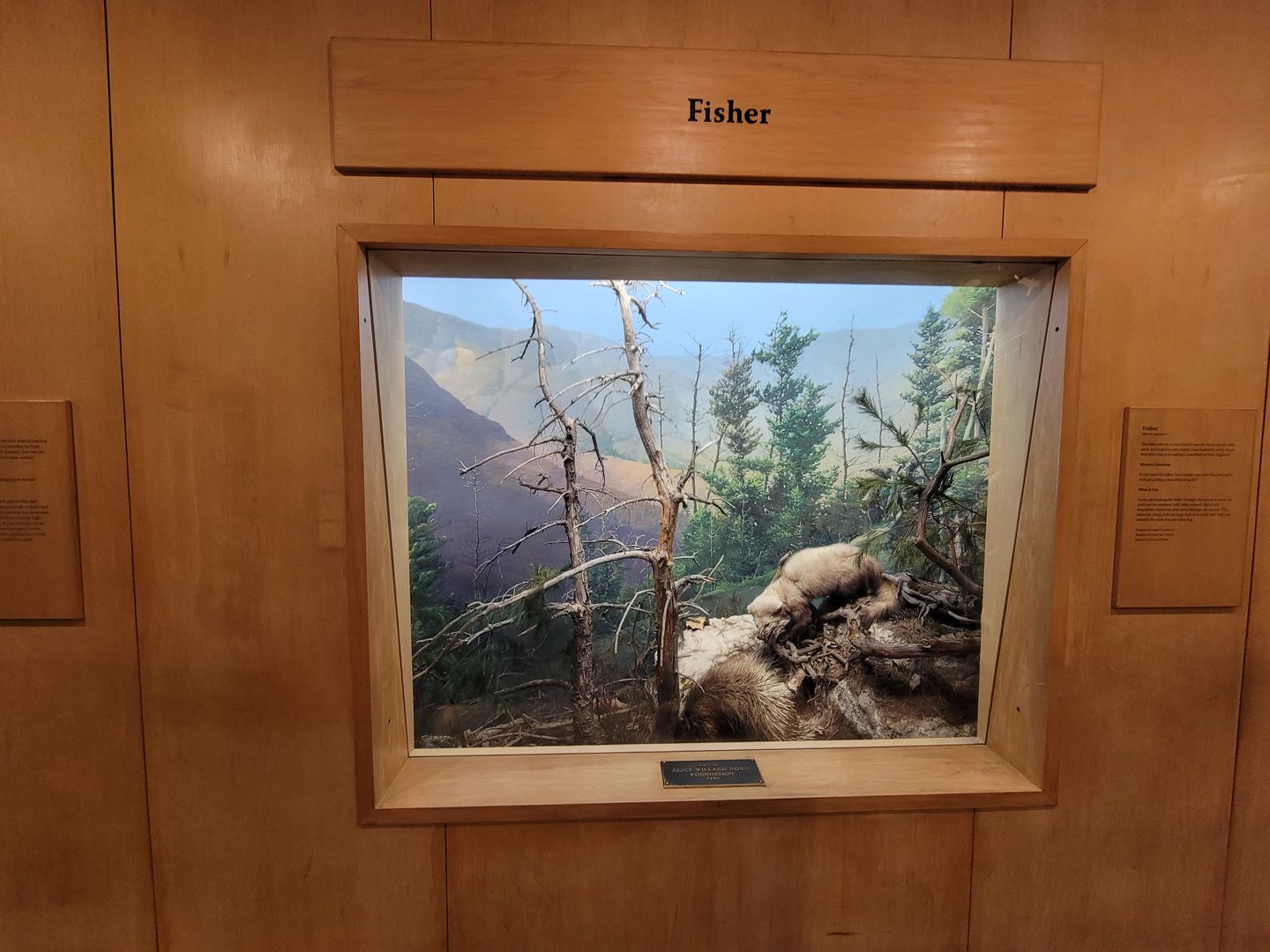 MOS Boston - Science Live! Stage area, Fisher