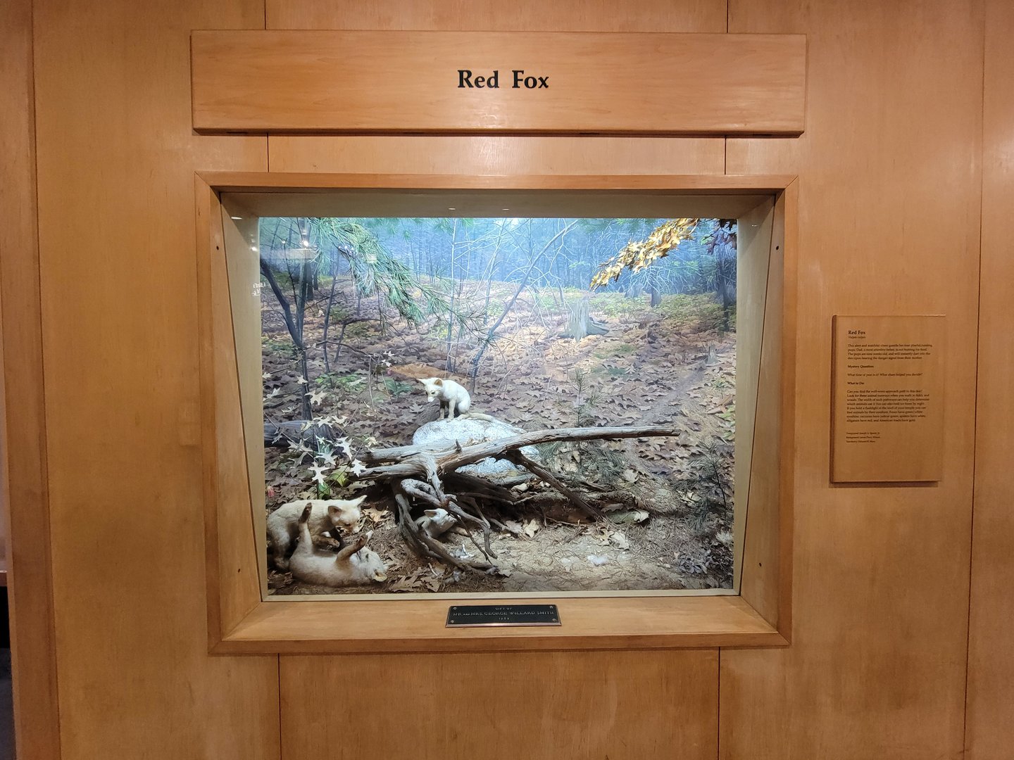 MOS Boston - Science Live! Stage area, Red Fox