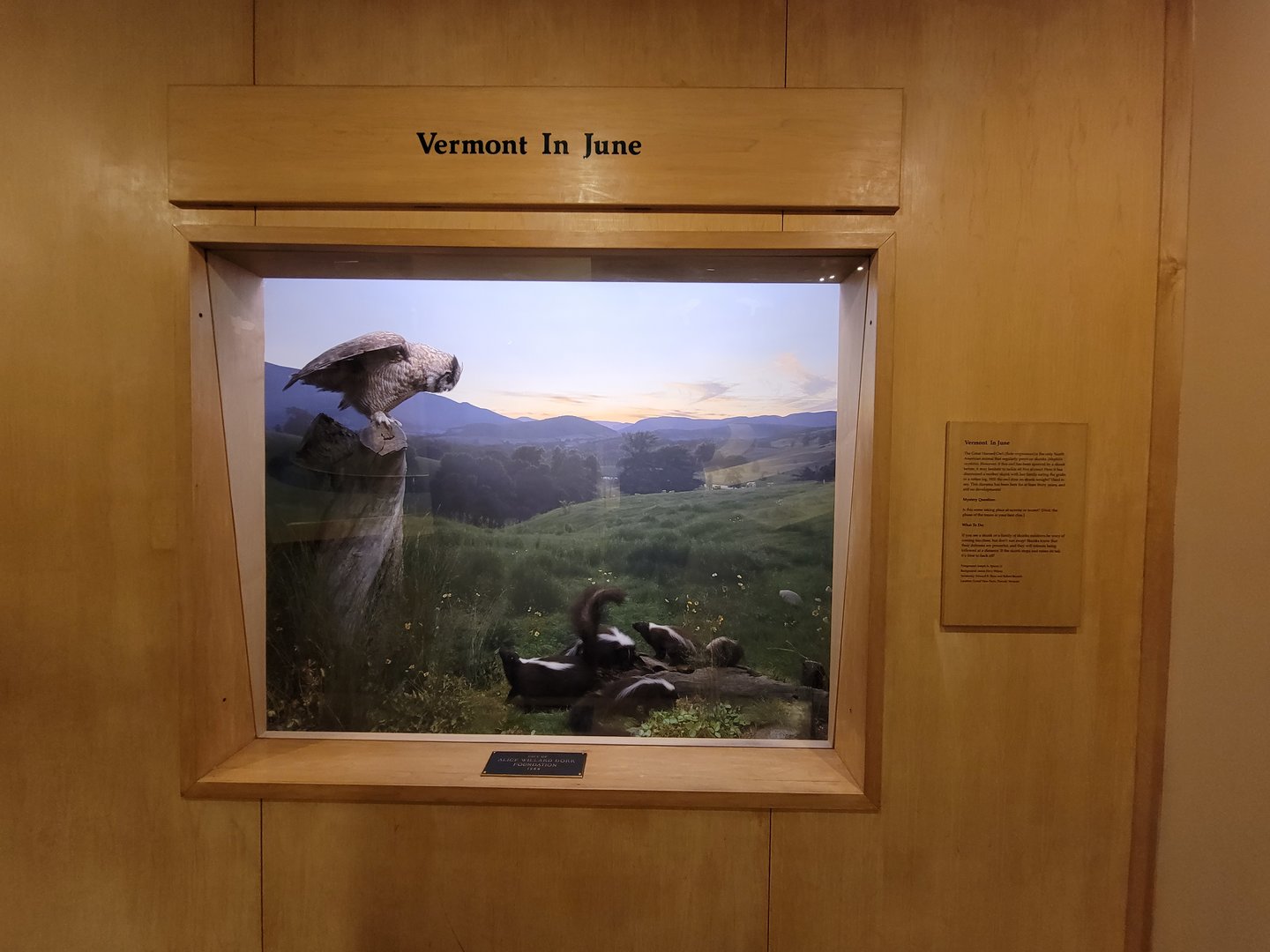 MOS Boston - Science Live! Stage area, "Vermont in June"