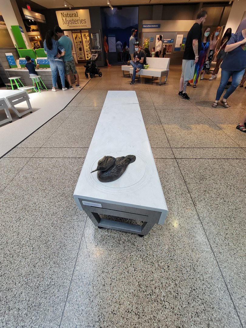 MOS Boston - Yawkey Gallery, cute benches with little sculptures