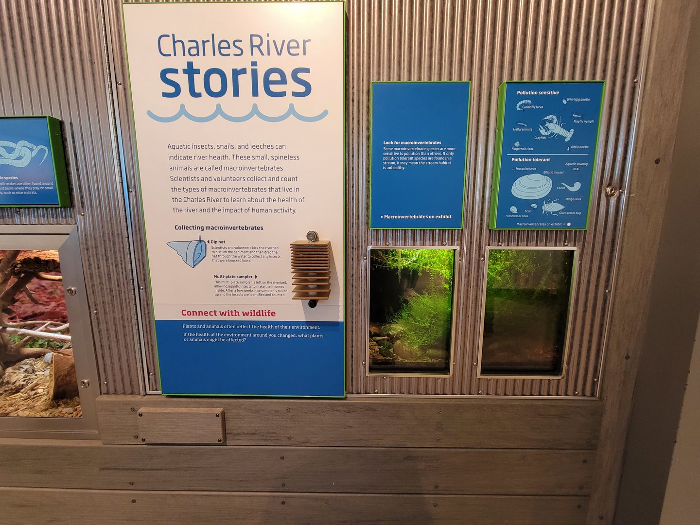 MOS Boston - Yawkey Gallery, macroinvertebrates