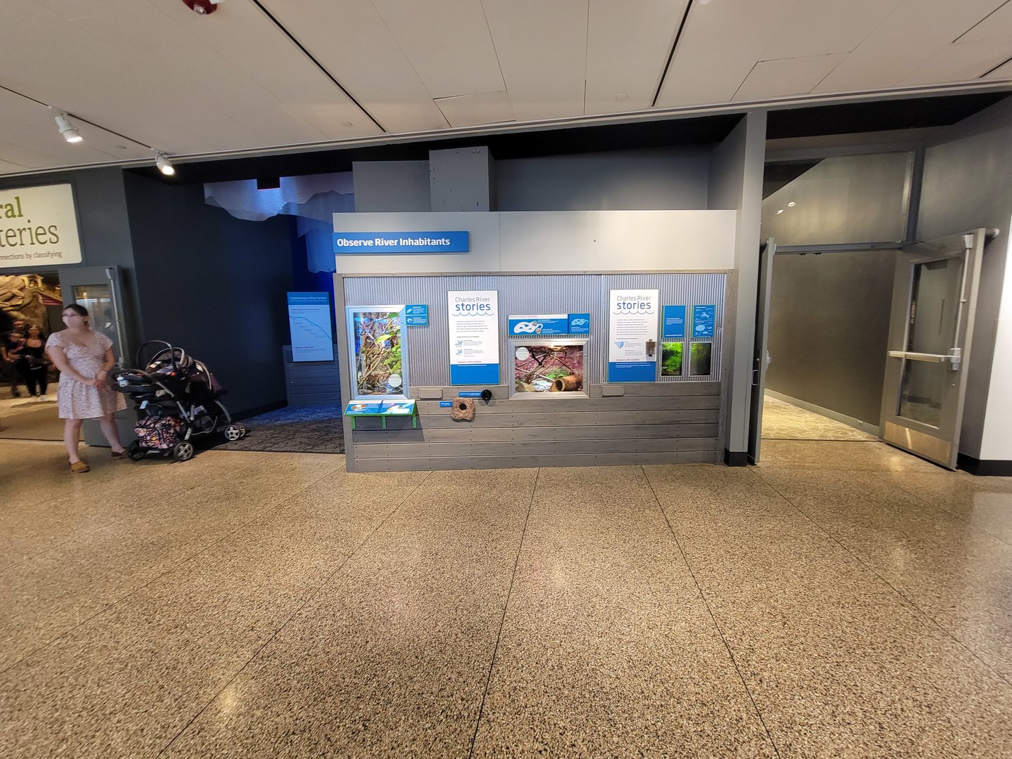 MOS Boston - Yawkey Gallery, Observe River Inhabitants