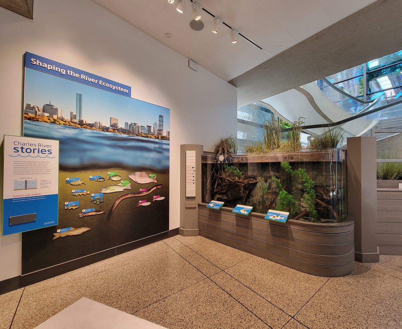 MOS Boston - Yawkey Gallery, Shaping the River Ecosystem