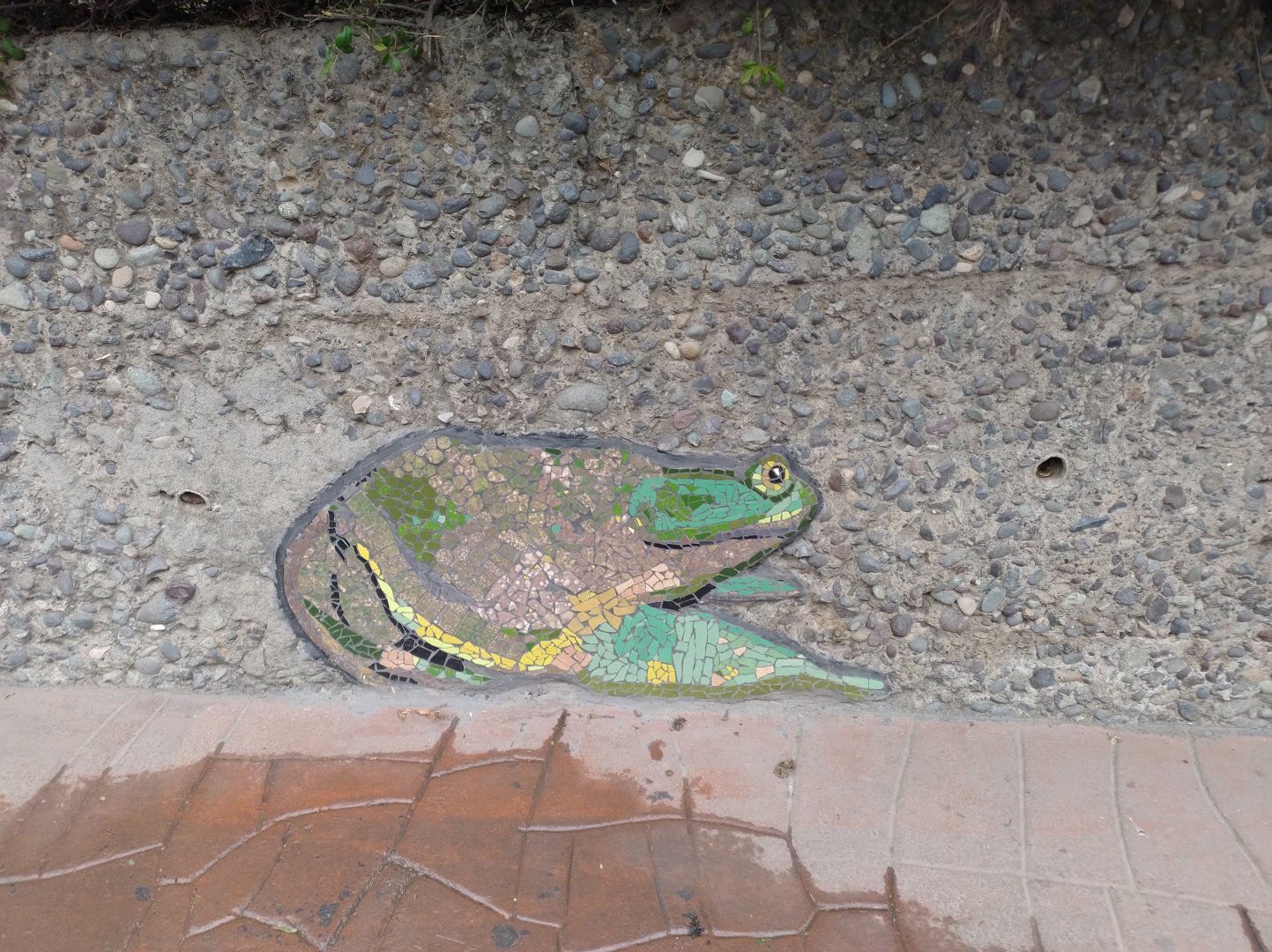 Mosaic - Santiago Zoo (Zoologico Nacional)