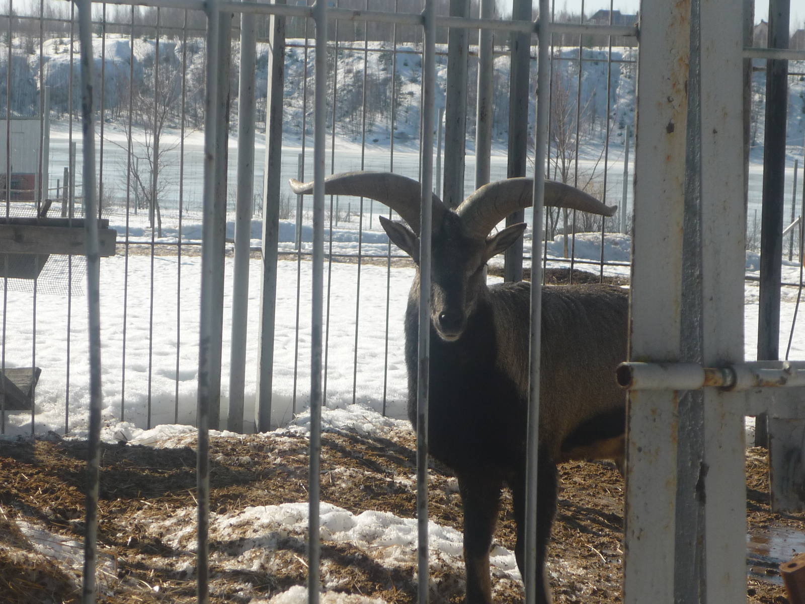 Moscow Zoo Breeding Facility