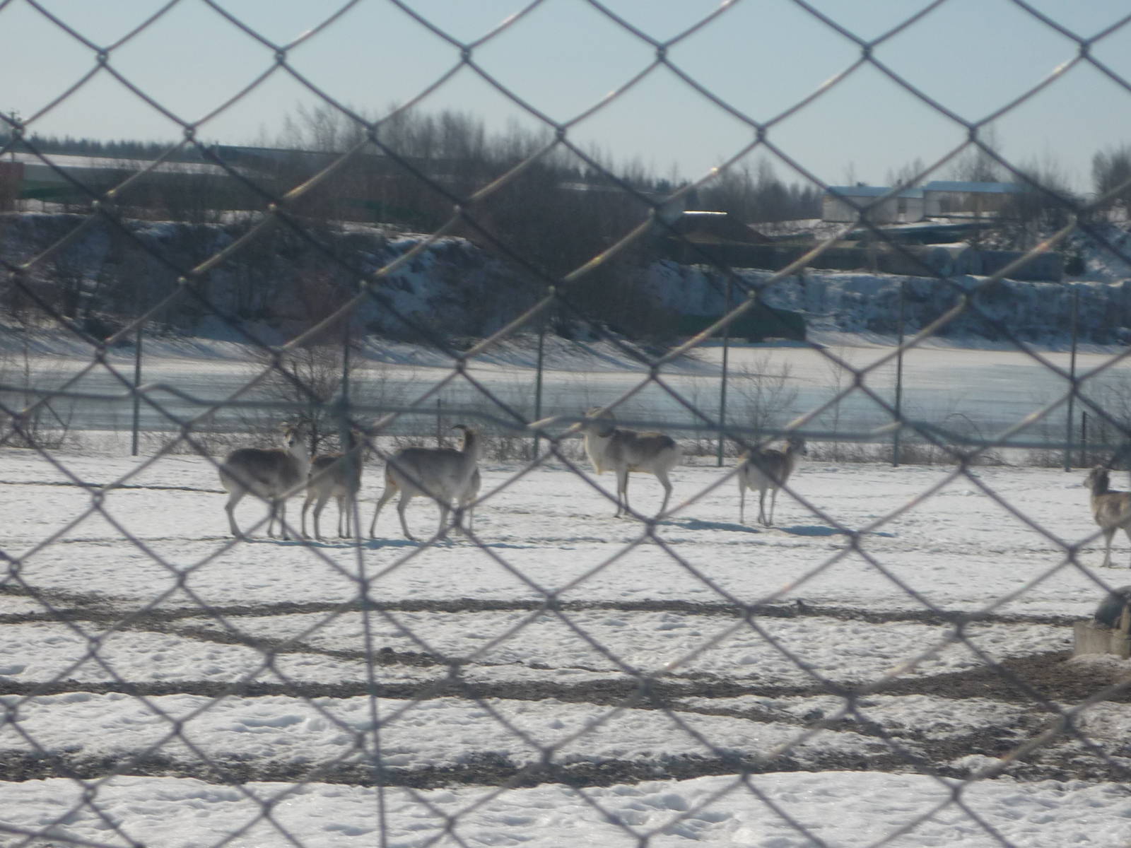 Moscow Zoo Breeding facility