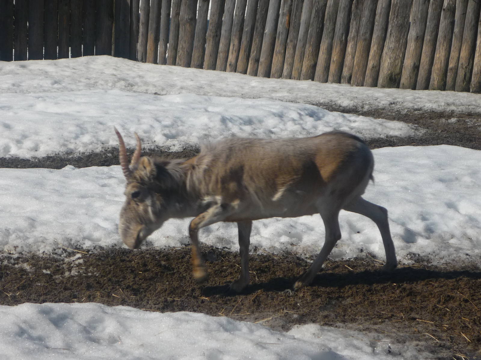Moscow Zoo Breeding Facility