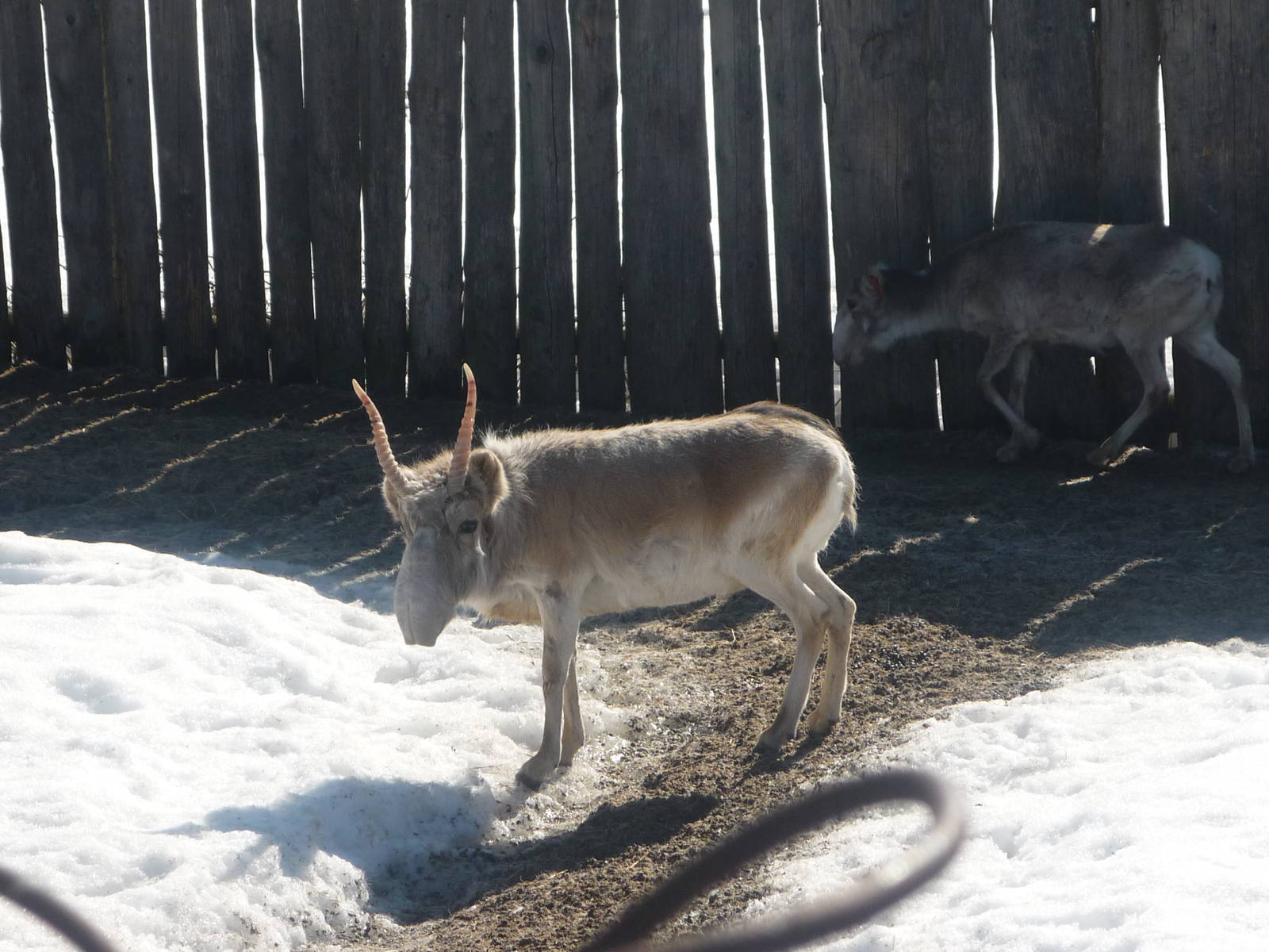 Moscow Zoo Breeding Facility