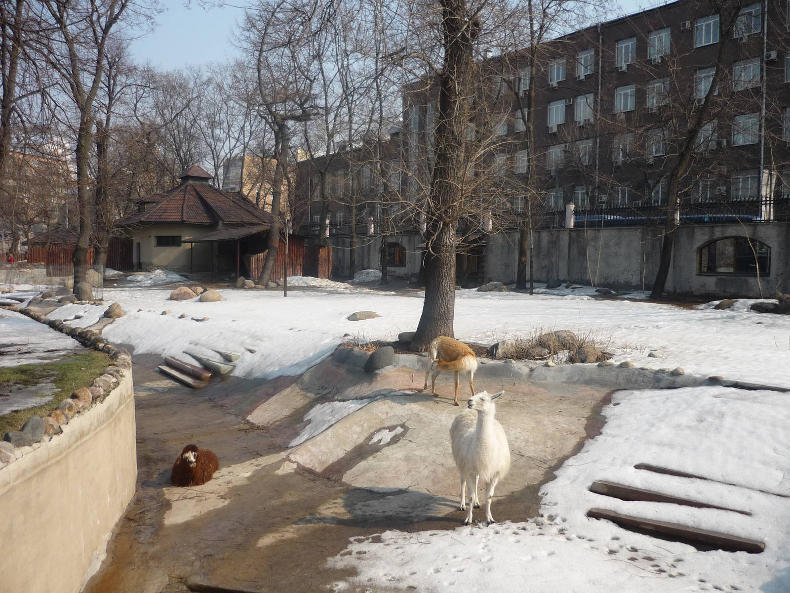 Moscow Zoo