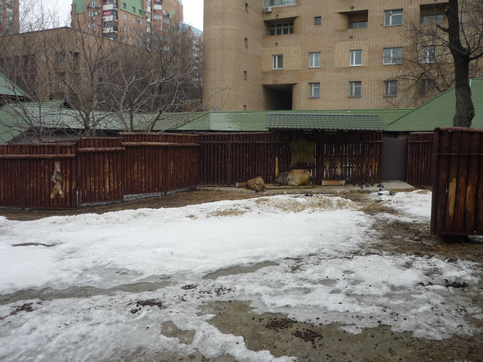 Moscow Zoo