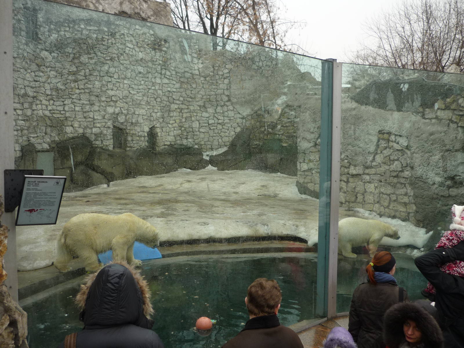Moscow Zoo