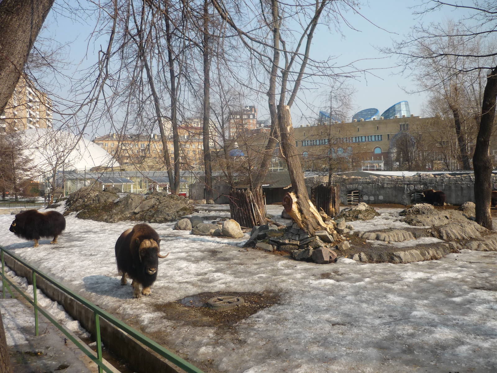 Moscow Zoo
