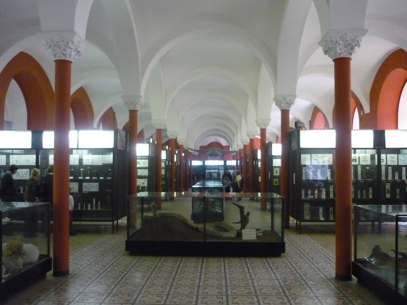 Moscow Zoological Museum