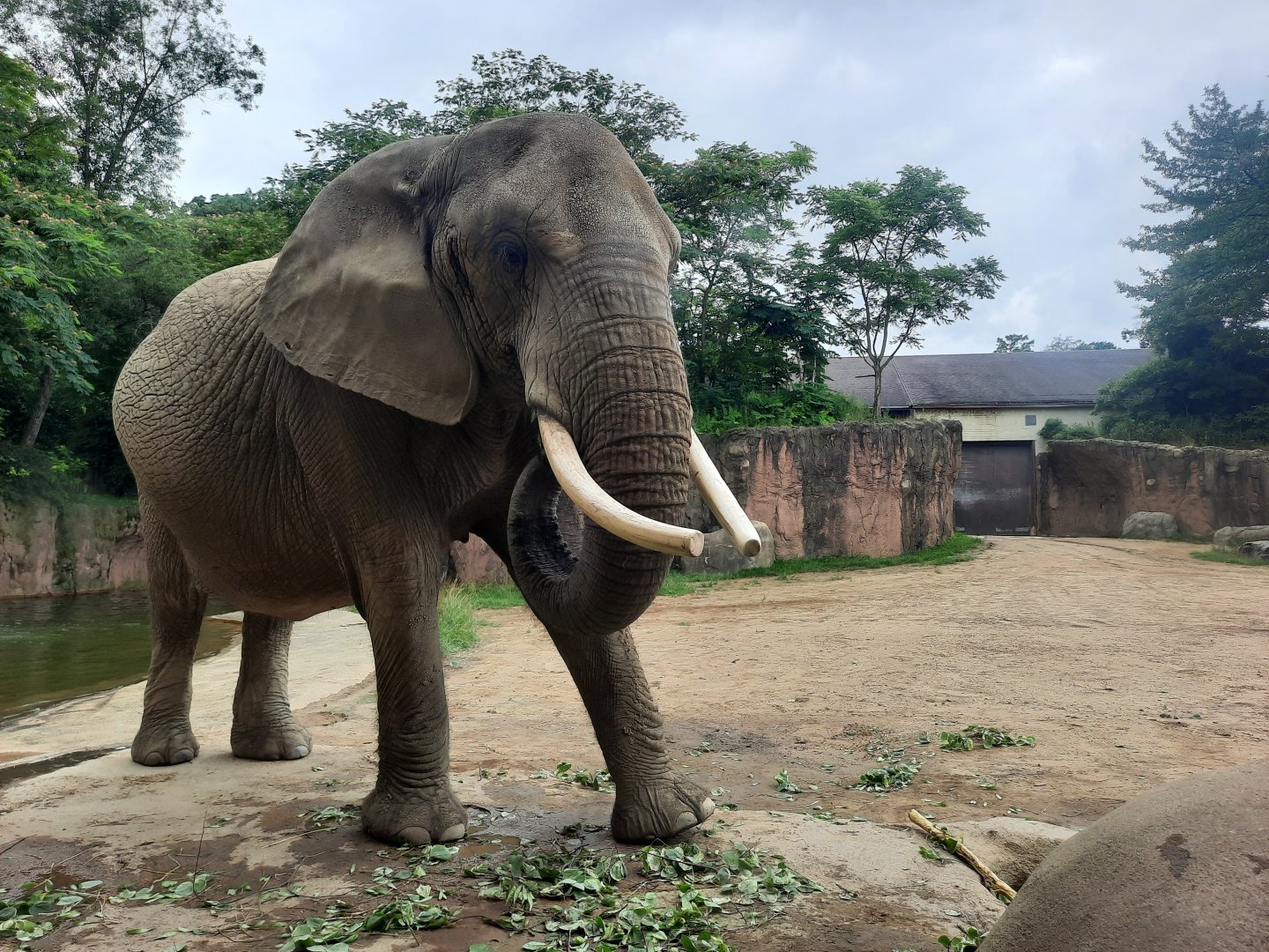Moshi From the Feeding Window