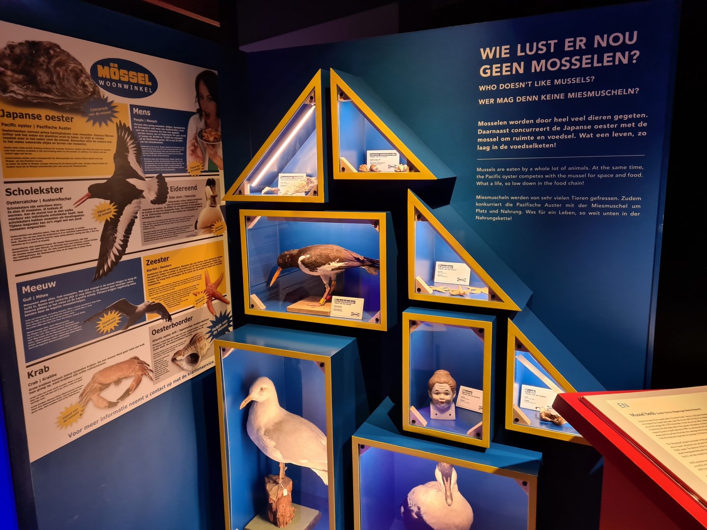 Mössel furnishings store interior