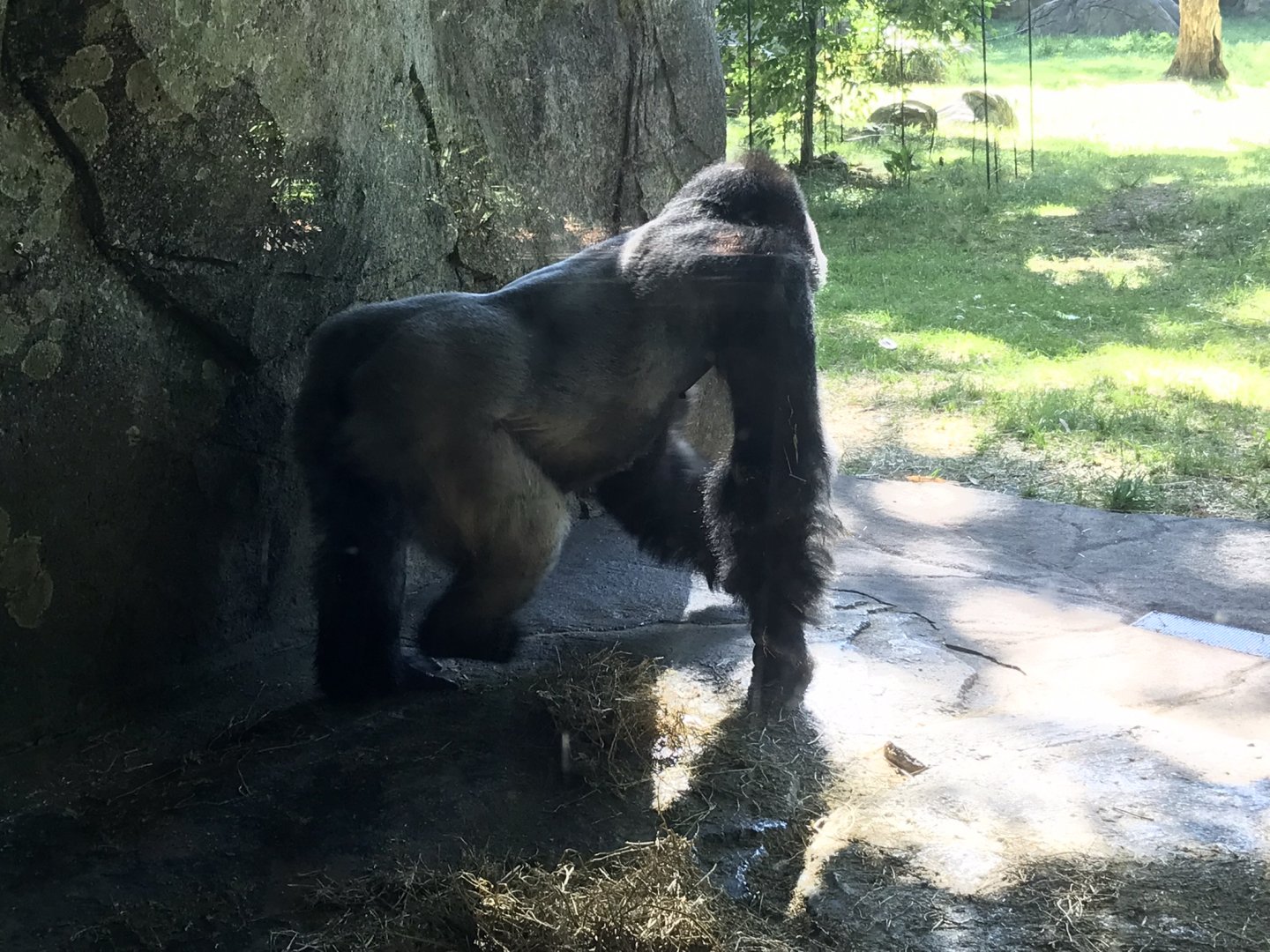 Mosuba showing what he thinks of me