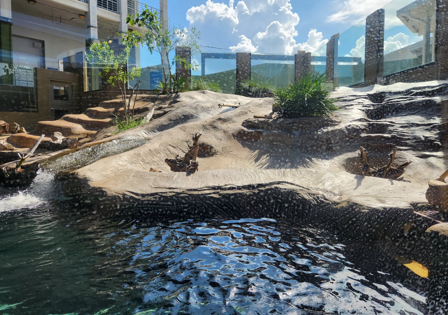 Mote Aquarium - Otter habitat