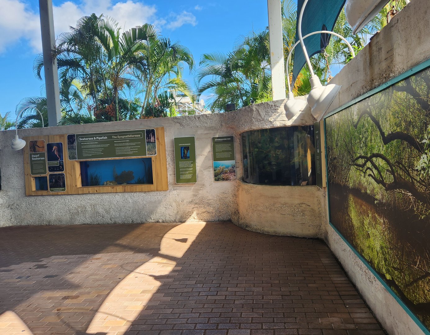 Mote Aquarium - Outdoor path