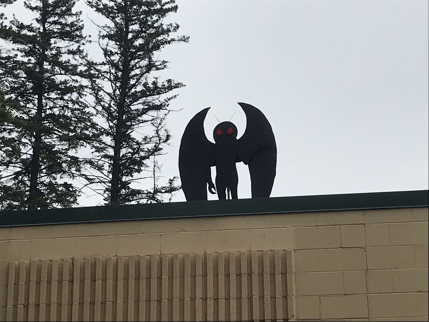 Moth-Man on top of Nocturnal House