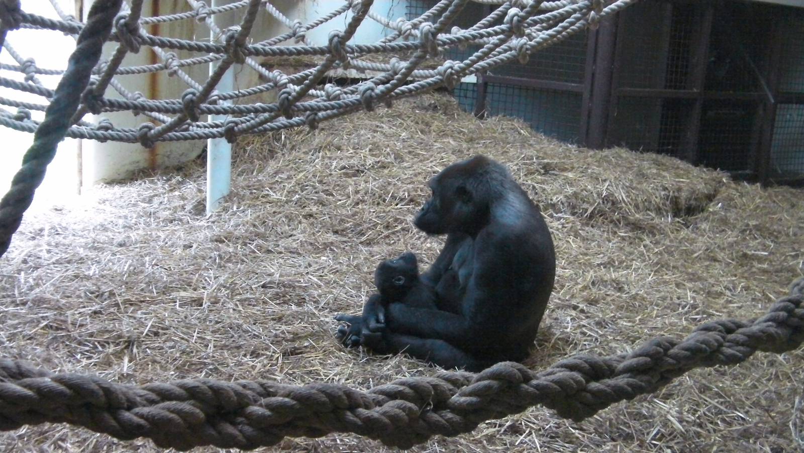 Mother and Baby - 26.08.2011