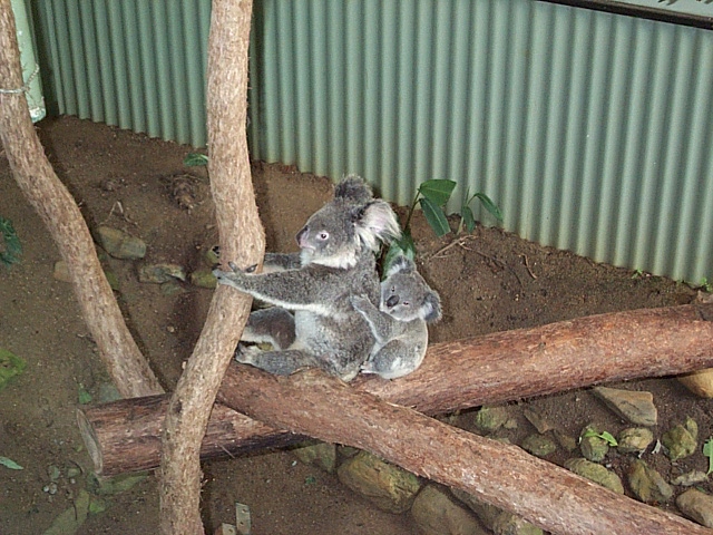 mother and child Dec 2001