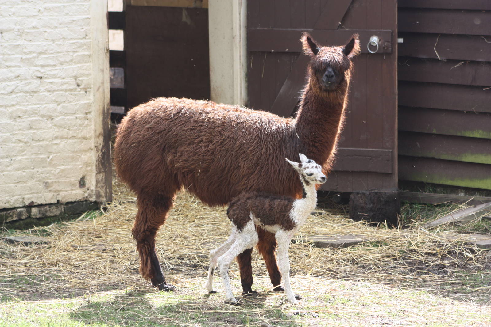 Mother and daughter, 24th August 2014