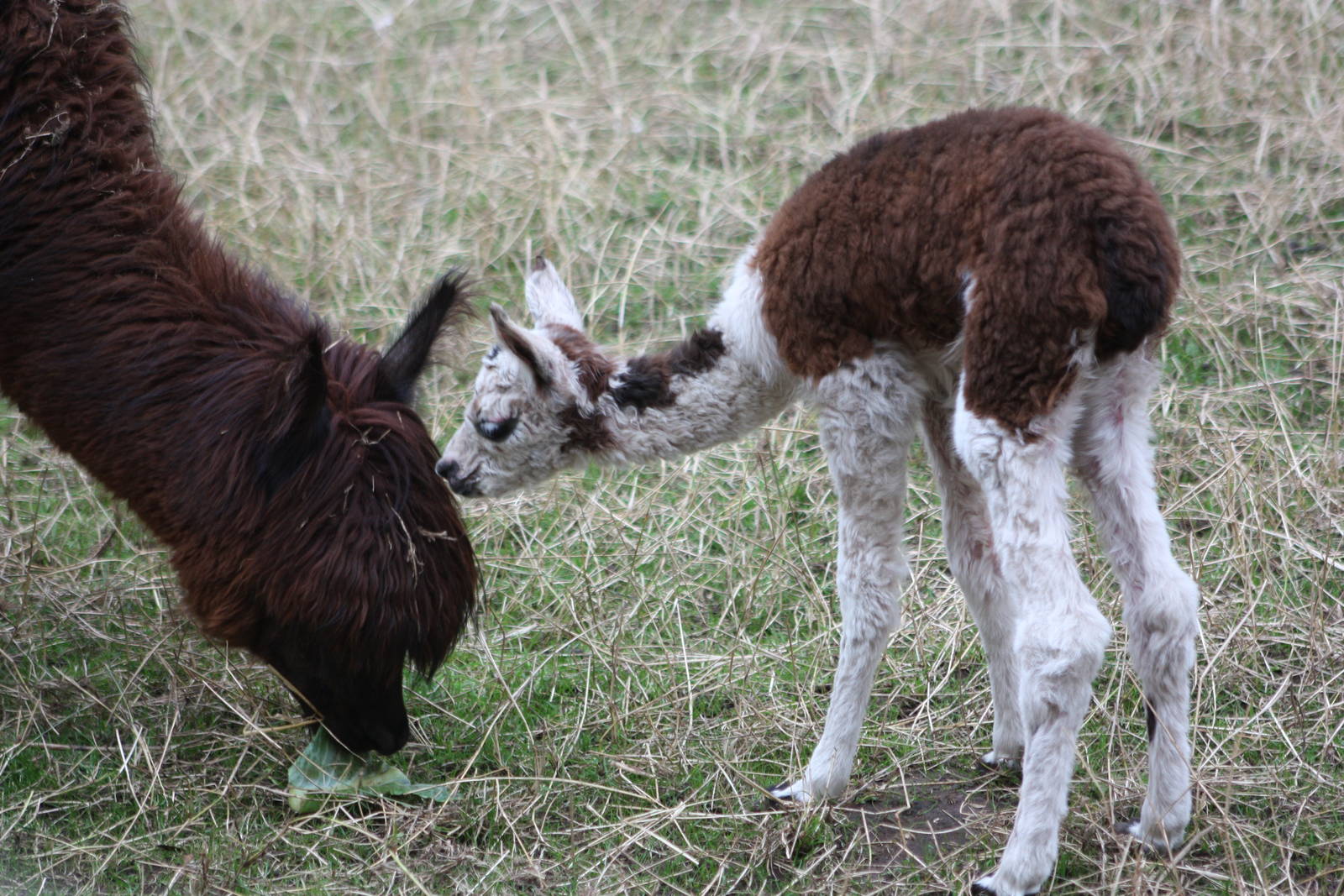 Mother and daughter, 25th August 2014