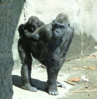 Mother and Son: Ivan and Moka