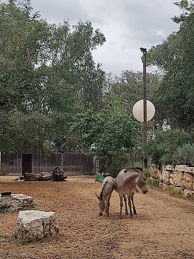 Mother Bar and Broko