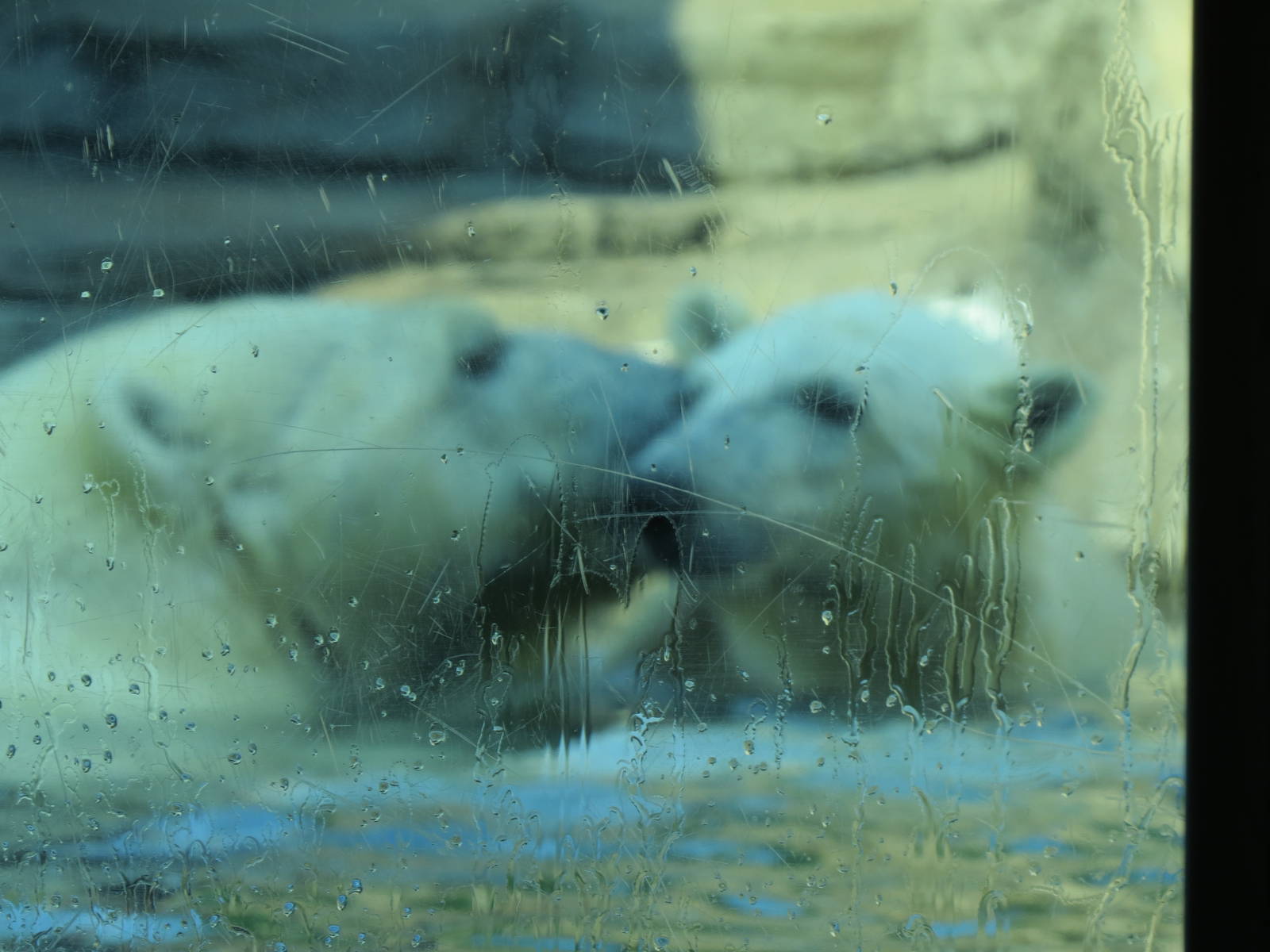 motherly love (crystal & sakari)