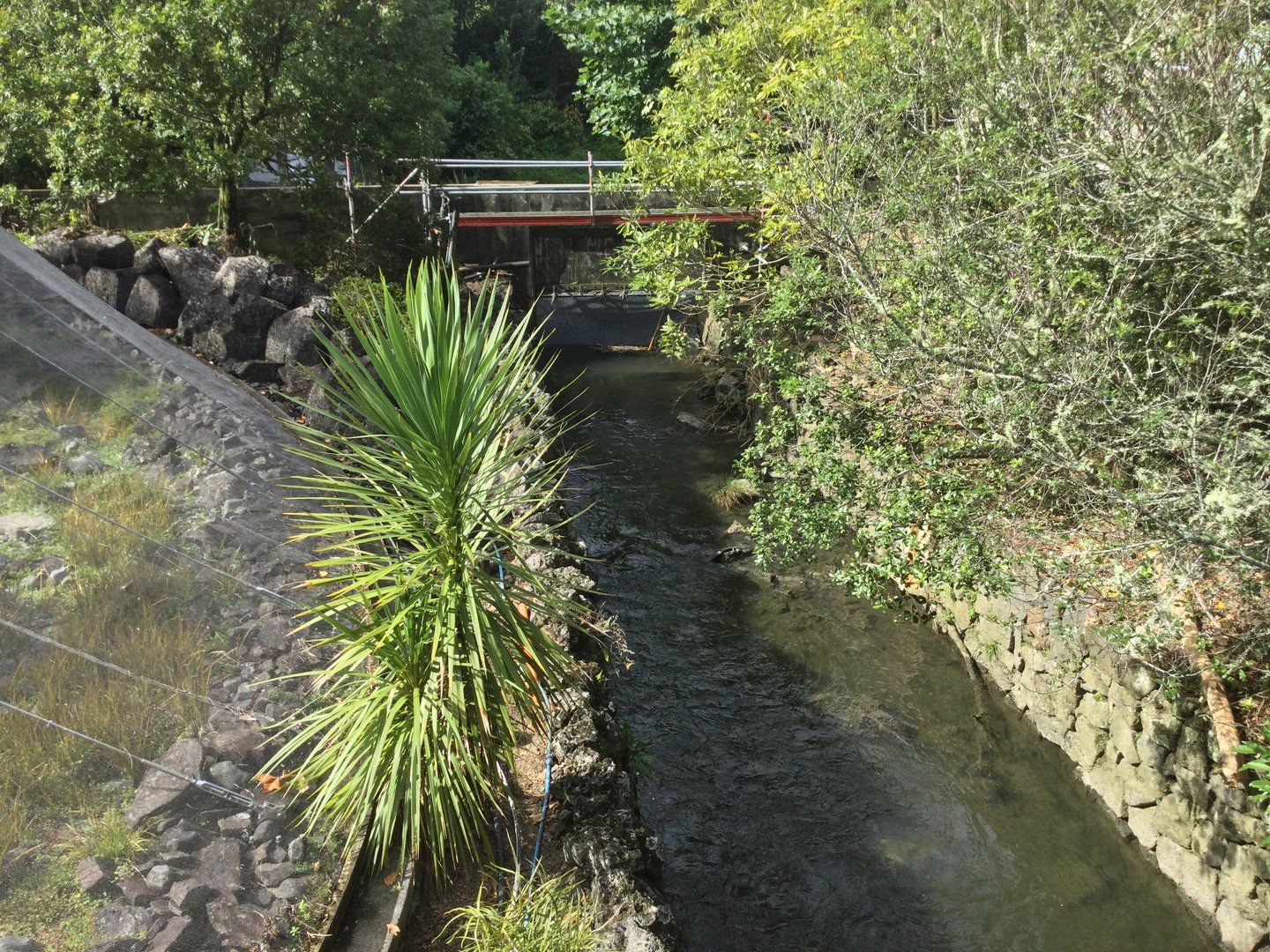 Motions Creek - Flood Gate